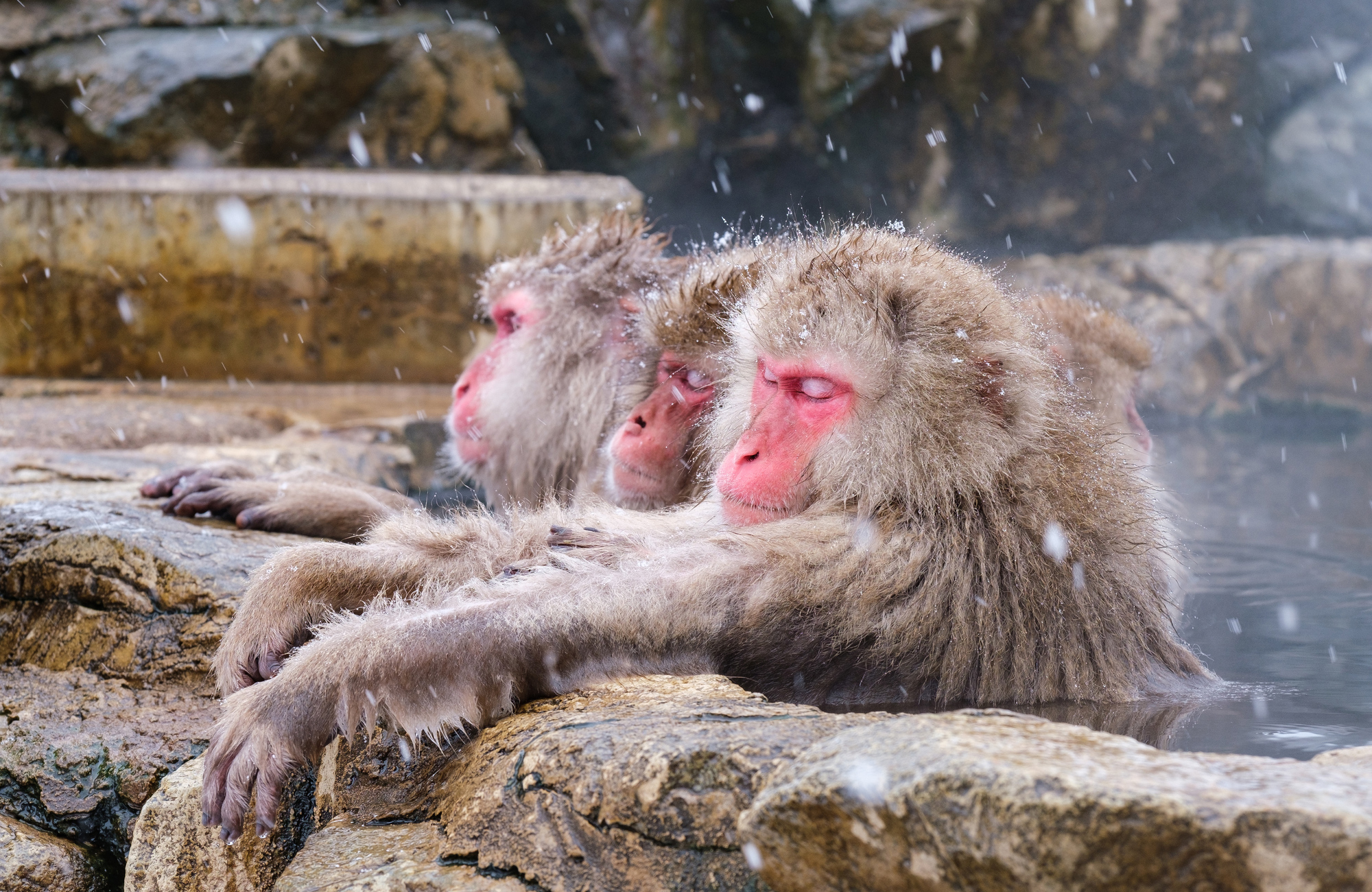 観光スポットのイメージ